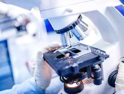 Research & Development